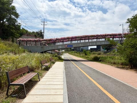 신갈천 산책길 사진 7