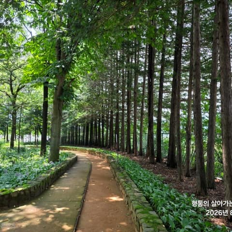 미동산수목원 산책길 사진 1