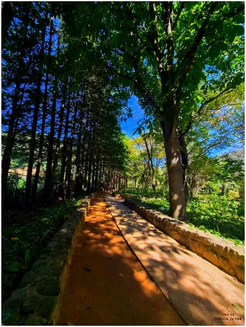 미동산수목원 산책길 사진 2