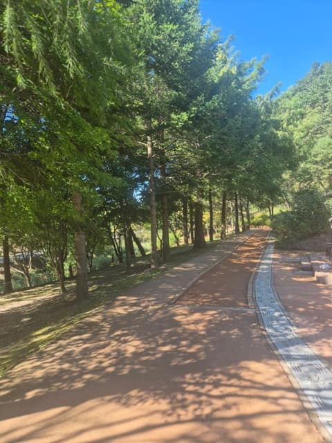 미동산수목원 산책길 사진 8