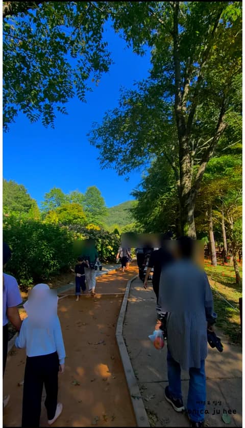 미동산수목원 산책길 사진 9