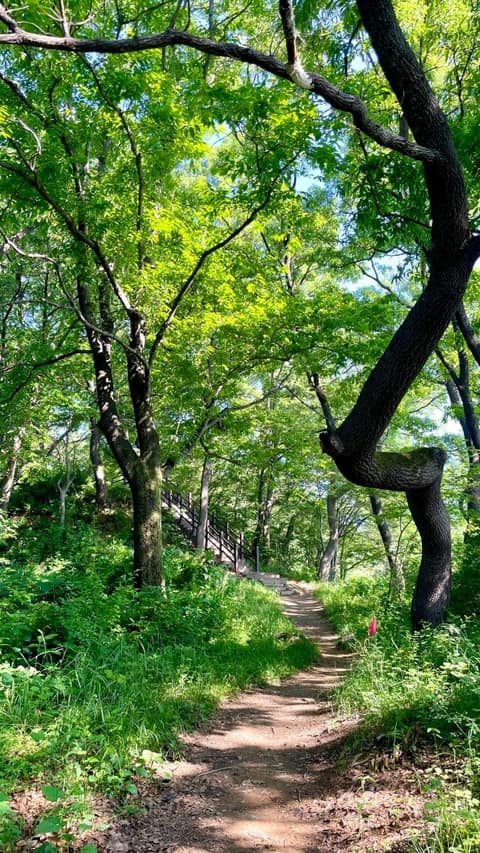 노성산성 산행길 사진 1