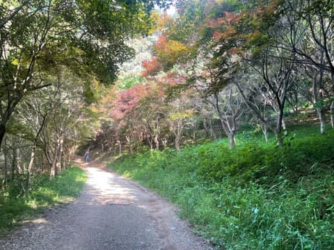 노성산성 산행길 사진 2