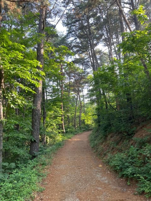 노성산성 산행길 사진 6