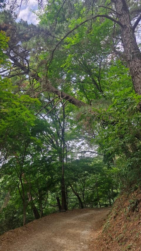 노성산성 산행길 사진 8