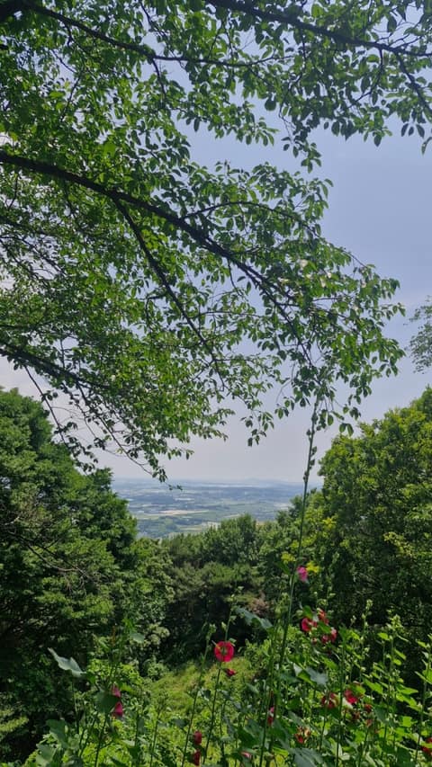 노성산성 산행길 사진 9