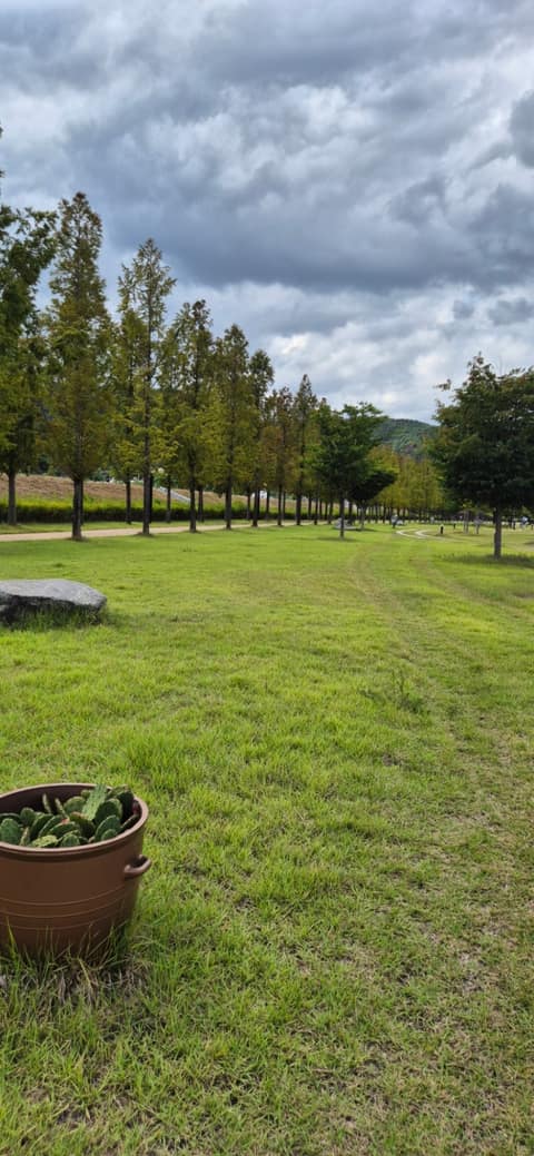 신녕천 산책길 사진 5