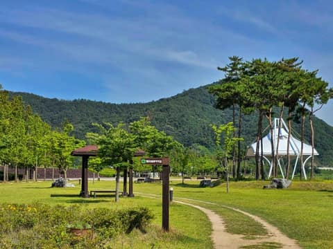 신녕천 산책길 사진 6