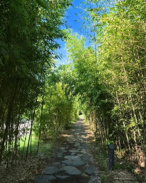 이촌한강공원 산책길 사진 4