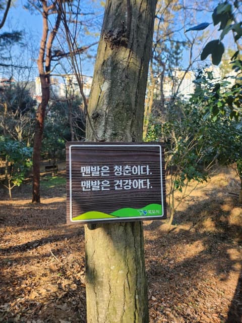 초당산 맨발길 사진 6