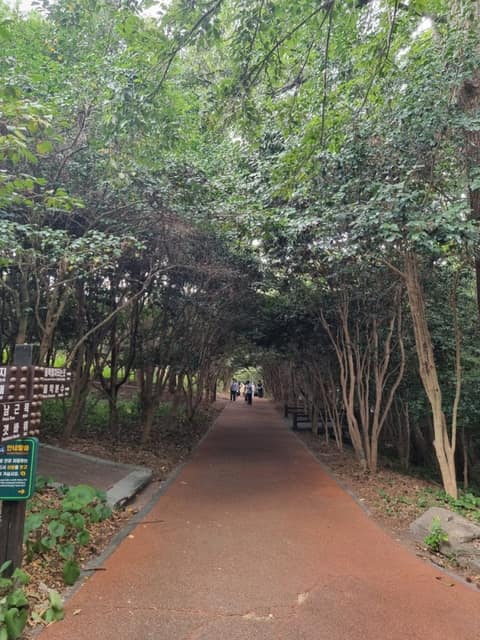 오동도 해안길 사진 5
