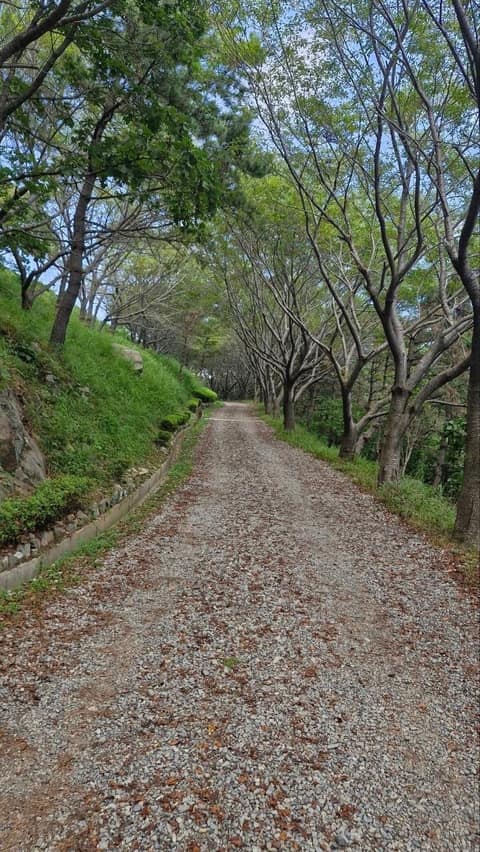 치유의 숲길 1구간 사진 2