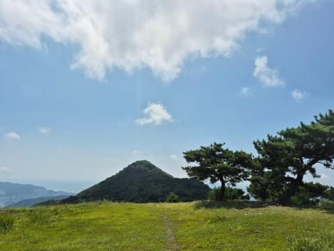 치유의 숲길 1구간 사진 4