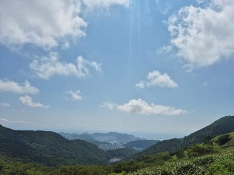 치유의 숲길 1구간 사진 6