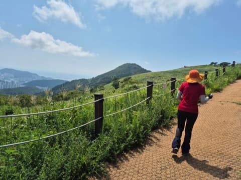 치유의 숲길 1구간 사진 10