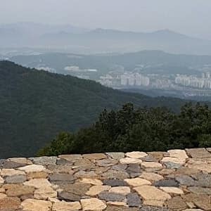 대청호반길 3-2코스 청남대 조망길 사진 5