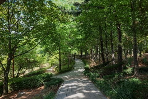 창원수목원 산책길 사진 1