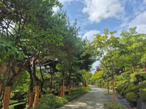 창원수목원 산책길 사진 4