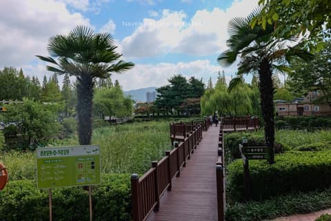 창원수목원 산책길 사진 7
