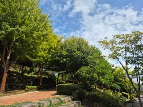 창원수목원 산책길 사진 8