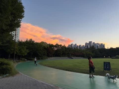 응봉근린공원(응봉산) 사진 2
