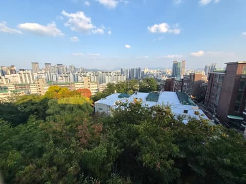 응봉근린공원(응봉산) 사진 3