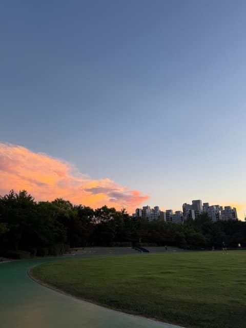 응봉근린공원(응봉산) 사진 6