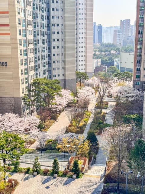 응봉근린공원(응봉산) 사진 10