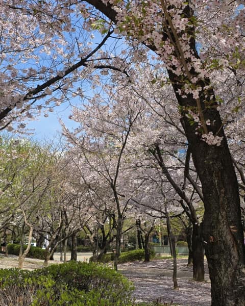인천 중앙공원 산책길 사진 1