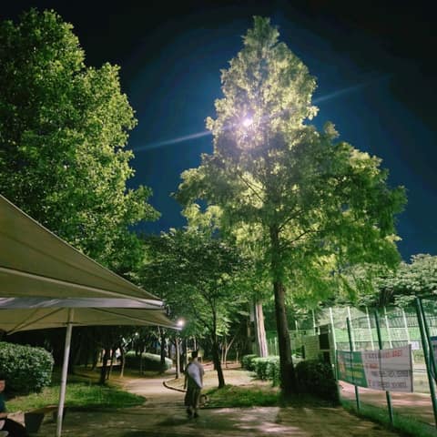 인천 중앙공원 산책길 사진 3
