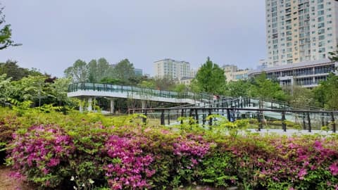 인천 중앙공원 산책길 사진 4