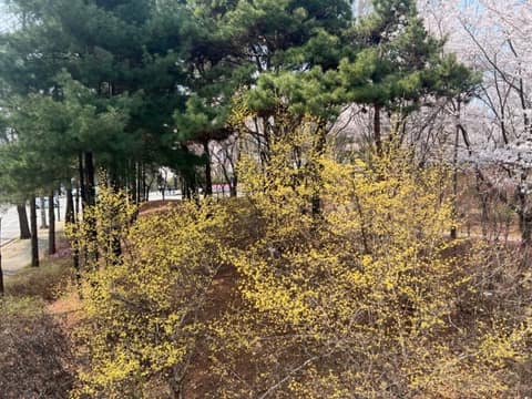 인천 중앙공원 산책길 사진 7