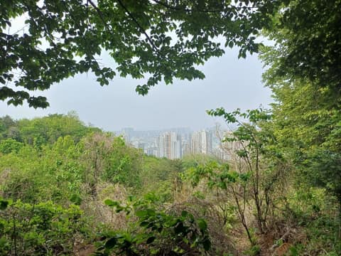 속초사잇길 6길 (청대산길) 사진 8