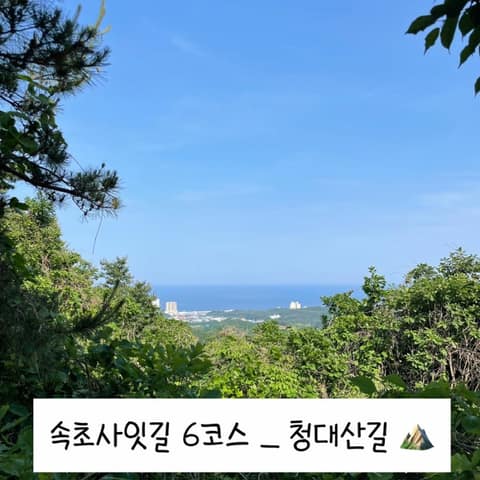 속초사잇길 6길 (청대산길) 사진 10