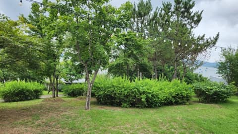 행구수변공원 산책길 사진 5