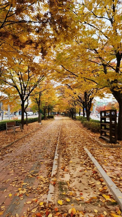 근린공원-덕흥사 둘레길 사진 6