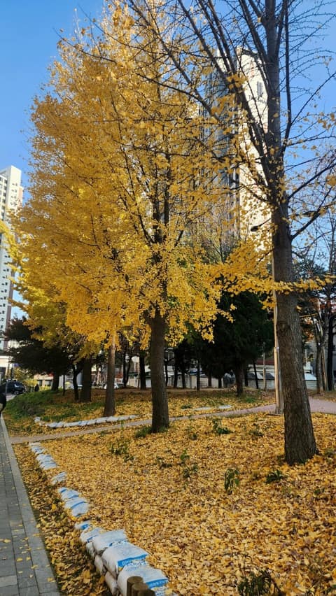 근린공원-덕흥사 둘레길 사진 9