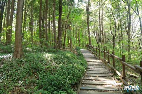 가좌산 산책길 사진 1