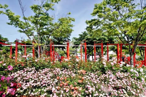 문경 모전공원 산책길 사진 10