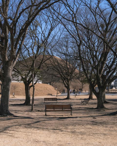 대릉원 일원 산책길 사진 4