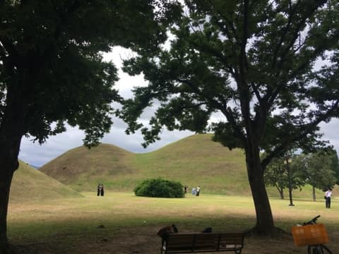 대릉원 일원 산책길 사진 8