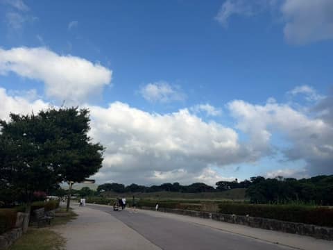 대릉원 일원 산책길 사진 10