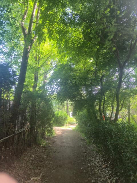 신정산둘레길 사진 2