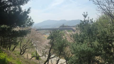 탄천뚝방길 사진 4