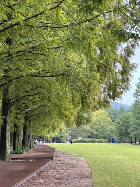 경상남도수목원 산책코스 사진 3