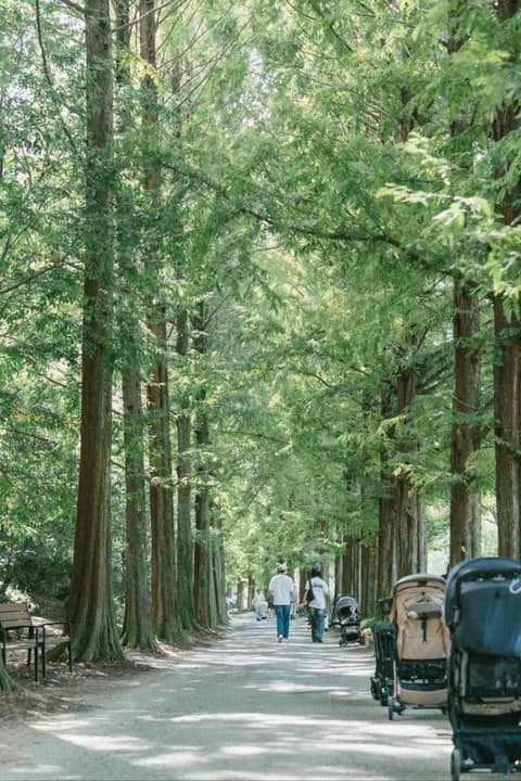 경상남도수목원 산책코스 사진 5