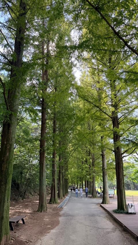 경상남도수목원 산책코스 사진 6