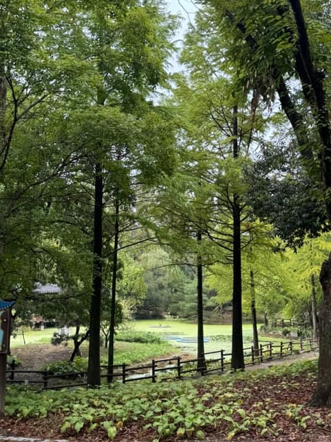 경상남도수목원 산책코스 사진 7