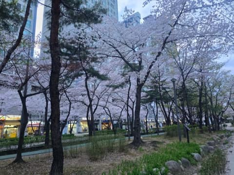 거리공원-어린이공원 산책길 사진 1