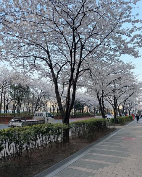 거리공원-어린이공원 산책길 사진 2